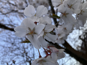零