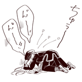 816