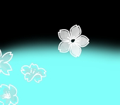 やみしらす