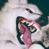 脊髄