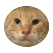 BIG BOB