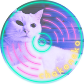 茶子猫