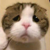 ばなな