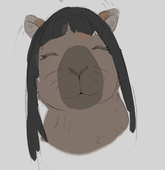 Yamybara yacoon