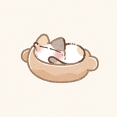 湖音