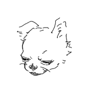 ちったな