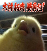 亀ラの汚村