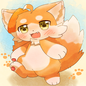 48犬