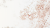 とにお