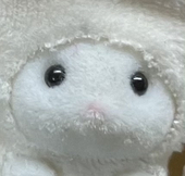 じお