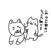 紗哉