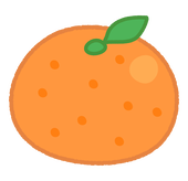 夏みかん🍊