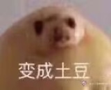 蓝夜
