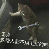 苦瓜