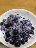 サンゴ