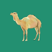 らくだ