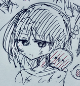 mir