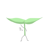 その辺の雑草