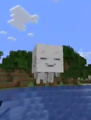 flowguy