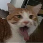 十闼