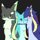 サメのアクゥ