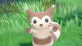 みっちゃん