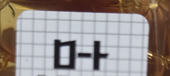 なゆた