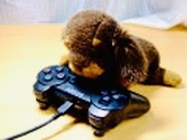 ものじとり