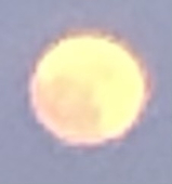 A123