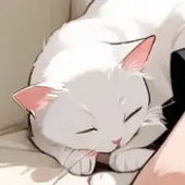 けんけん(knkn)