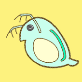 わた∽わた