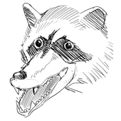 ワニアライグマ