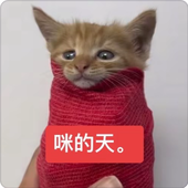 波力海苔荞麦脆脆