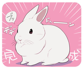 White Rabbit