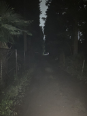 柊太