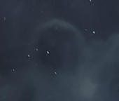 dot01