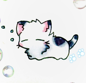 ちゃにゃ🐈