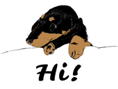 あーぜん