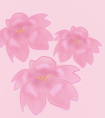 桜希