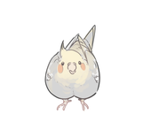 こつつ