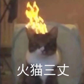 杂食勇士