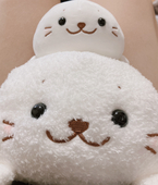 はなになし