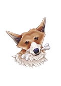 カブいぬ🐶