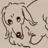 いちこ