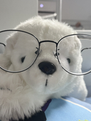 polarbear