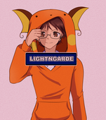 LightNGarde