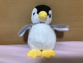 わかにゃん