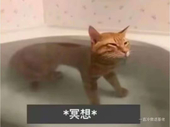 サティア_北以