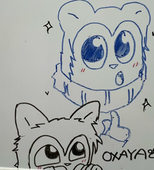 sus.sus/sans