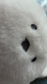 ぎゅーたん